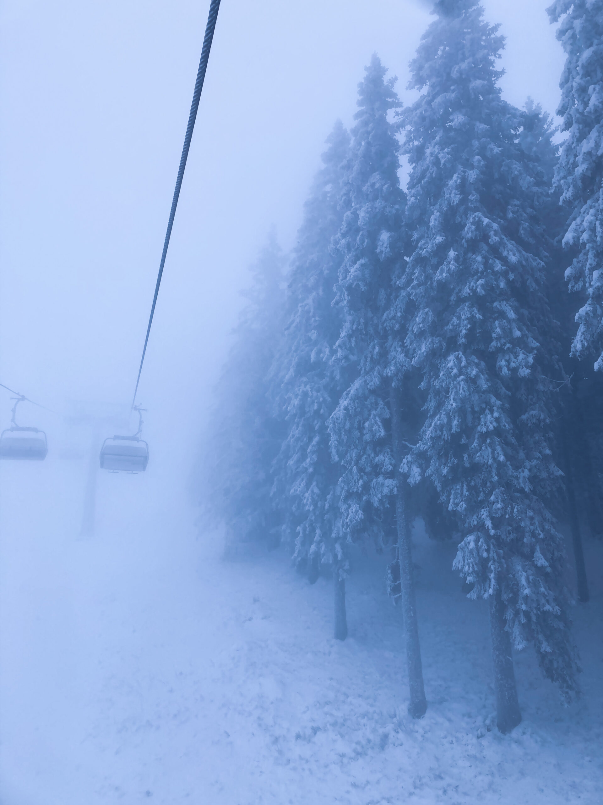 empty ski lift in the mist and snow covered trees in the Black forest